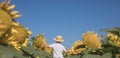 Portrait of beautiful little blond kid boy on summer sunflower field outdoors. Cute preschool child having fun on warm summer day Royalty Free Stock Photo