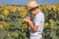 Portrait of beautiful little blond kid boy on summer sunflower field outdoors. Cute preschool child having fun on warm summer day Royalty Free Stock Photo