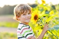 Portrait of beautiful little blond kid boy on summer sunflower field outdoors. Cute preschool child having fun on warm Royalty Free Stock Photo