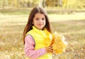 Portrait beautiful little girl child with yellow maple leafs in autumn Royalty Free Stock Photo