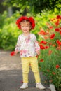 Portrait of a beautiful little girl having fun in field of red poppy flowers in spring. Royalty Free Stock Photo