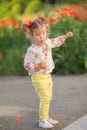 Portrait of a beautiful little girl having fun in field of red poppy flowers in spring. Royalty Free Stock Photo