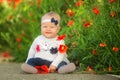 Portrait of a beautiful little girl having fun in field of red poppy flowers in spring. Royalty Free Stock Photo