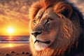 Portrait of a beautiful male lion on a sunset beach