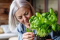 Portrait of beautiful mature woman taking care of plants on balcony. Spending free weekend at home. Royalty Free Stock Photo