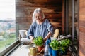 Portrait of beautiful mature woman taking care of plants on balcony. Spending free weekend at home. Royalty Free Stock Photo