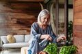 Portrait of beautiful mature woman taking care of plants on balcony. Spending free weekend at home. Royalty Free Stock Photo