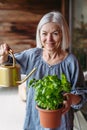 Portrait of beautiful mature woman taking care of plants on balcony. Spending free weekend at home. Royalty Free Stock Photo