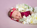 Portrait of a beautiful newborn girl with a red headband Royalty Free Stock Photo