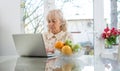 Portrait of beautiful older woman working on laptop computer indoors. Royalty Free Stock Photo