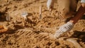 Portrait of Beautiful Paleontologist Cleaning Tyrannosaurus Dinosaur Skeleton with Brushes Royalty Free Stock Photo