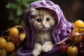 Portrait of a beautiful Persian cat dressed as grape fruit