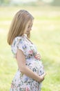 Beautiful pregnant woman in white summer dress in meadow full of yellow blooming flovers. Royalty Free Stock Photo