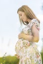 Beautiful pregnant woman in white summer dress in meadow full of yellow blooming flovers. Royalty Free Stock Photo