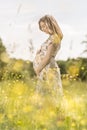 Beautiful pregnant woman in white summer dress in meadow full of yellow blooming flowers. Royalty Free Stock Photo