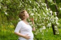 Portrait of a beautiful pregnant young woman smelling sakura at spring park. Expectant mother. Motherhood Royalty Free Stock Photo