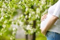 Portrait of a beautiful pregnant young woman at the spring park. Motherhood. Expectant mother