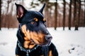 Portrait of a beautiful purebred doberman dog in the park. Generative AI Royalty Free Stock Photo