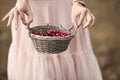 Portrait of a beautiful romantic brunette girl with a basket of cherries in a green garden