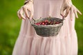 Portrait of a beautiful romantic brunette girl with a basket of cherries in a green garden