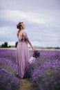 Portrait of beautiful romantic woman walking in field of lavender with basket of purple lavender flowers, summer time
