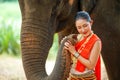 Portrait of Beautiful rural Thai woman wear Thai northern traditional dress for phot shoot with trunk of Asian elephant on blurred