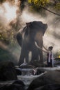 Portrait of Beautiful rural thai woman wear thai dress with elephant in Chiang Mai Royalty Free Stock Photo