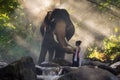 Portrait of Beautiful rural thai woman wear thai dress with elephant in Chiang Mai Royalty Free Stock Photo