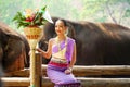 Portrait of Beautiful rural thai woman wear Thai northern traditional dress acting for phot shoot with Asian elephant on blurred