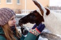 Portrait of beautiful s woman with friendly guanaco on a farm at wintertime