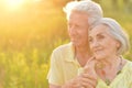 Portrait of beautiful senior couple hugging on a lilac background in the park Royalty Free Stock Photo