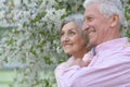 Portrait of beautiful senior couple hugging on a lilac background in the park Royalty Free Stock Photo