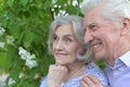 Portrait of beautiful senior couple hugging on a lilac background in the park Royalty Free Stock Photo