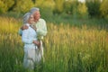 Portrait of beautiful senior couple hugging on a lilac background in the park Royalty Free Stock Photo