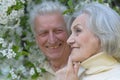 Portrait of beautiful senior couple hugging on a lilac background in the park Royalty Free Stock Photo