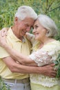 Portrait of beautiful senior couple hugging on a lilac background in the park Royalty Free Stock Photo