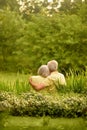 Portrait of beautiful senior couple hugging in the park Royalty Free Stock Photo