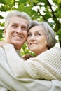 Portrait of beautiful senior couple hugging in the park Royalty Free Stock Photo