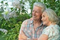 Portrait of beautiful senior couple hugging in the park by lilacs Royalty Free Stock Photo