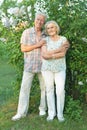 Portrait of beautiful senior couple hugging in the park by lilacs Royalty Free Stock Photo