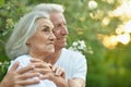 Portrait of beautiful senior couple hugging in the park Royalty Free Stock Photo