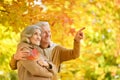 Portrait of beautiful senior couple in the park Royalty Free Stock Photo