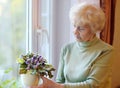 Portrait of beautiful senior woman with curly gray hair. Elderly is standing by the window and taking care of home flowers