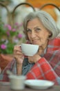 Portrait of beautiful smiling senior woman drinking tea Royalty Free Stock Photo