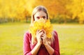 Portrait beautiful smiling woman hides her face yellow maple leafs in sunny autumn