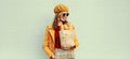 Portrait beautiful smiling young woman holding grocery shopping paper bag with long white bread baguette on gray background Royalty Free Stock Photo