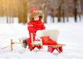 Portrait of beautiful toddler boy having fun in winter park Royalty Free Stock Photo