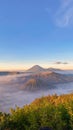 portrait of the beautiful view of Mount Bromo, East Java, Indonesia