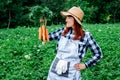 Portrait of a beautiful woman farmer holds a bunch of carrots in a straw hat and surrounded by the many plants in her vegetable Royalty Free Stock Photo