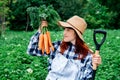 Portrait of a beautiful woman farmer holds a bunch of carrots in a straw hat and surrounded by the many plants in her vegetable Royalty Free Stock Photo
